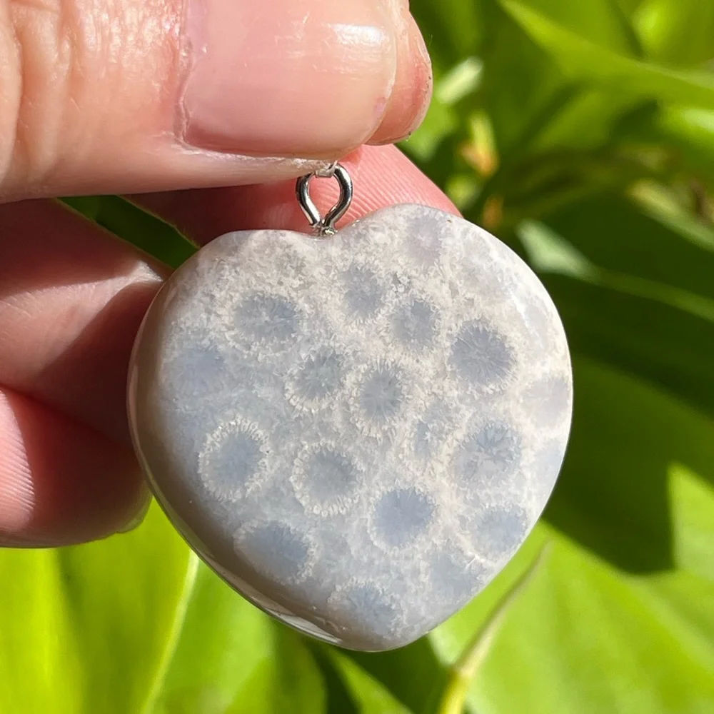 Beautiful stainless steel fossil‎ coral jade pendant 1573